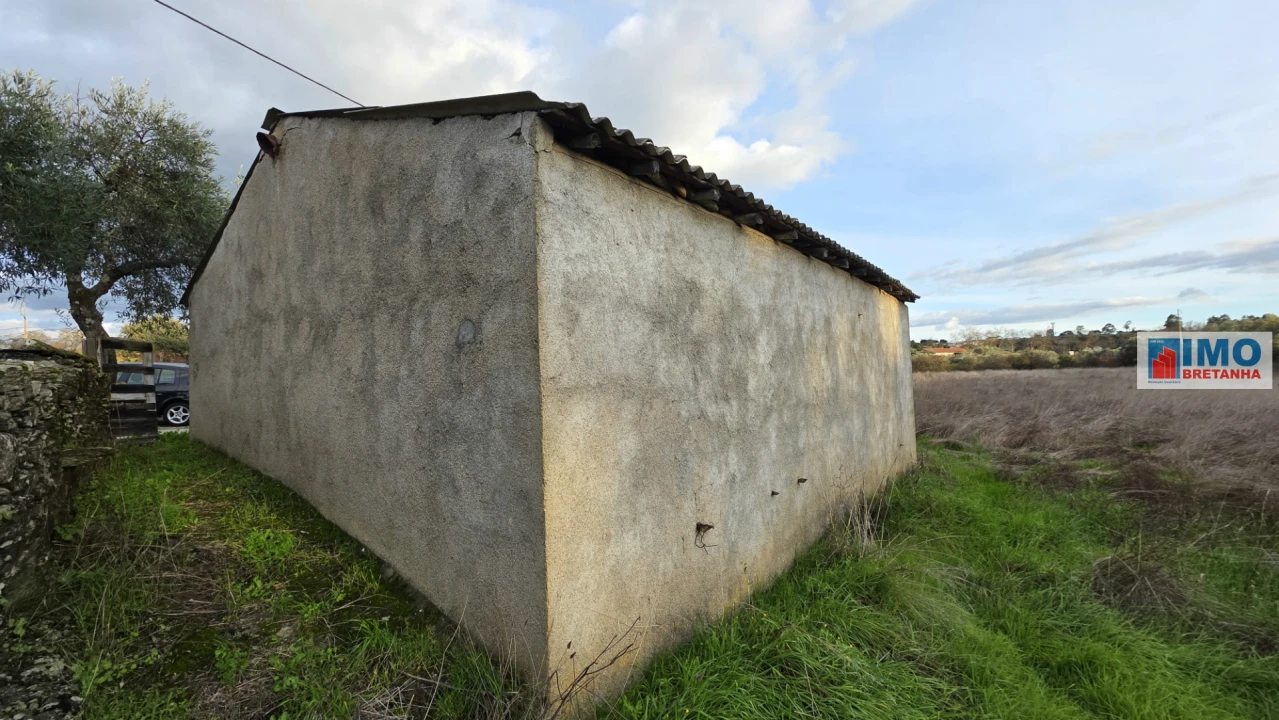 Terreno para Venda em Idanha-A-Nova e Alcafozes Foto 3