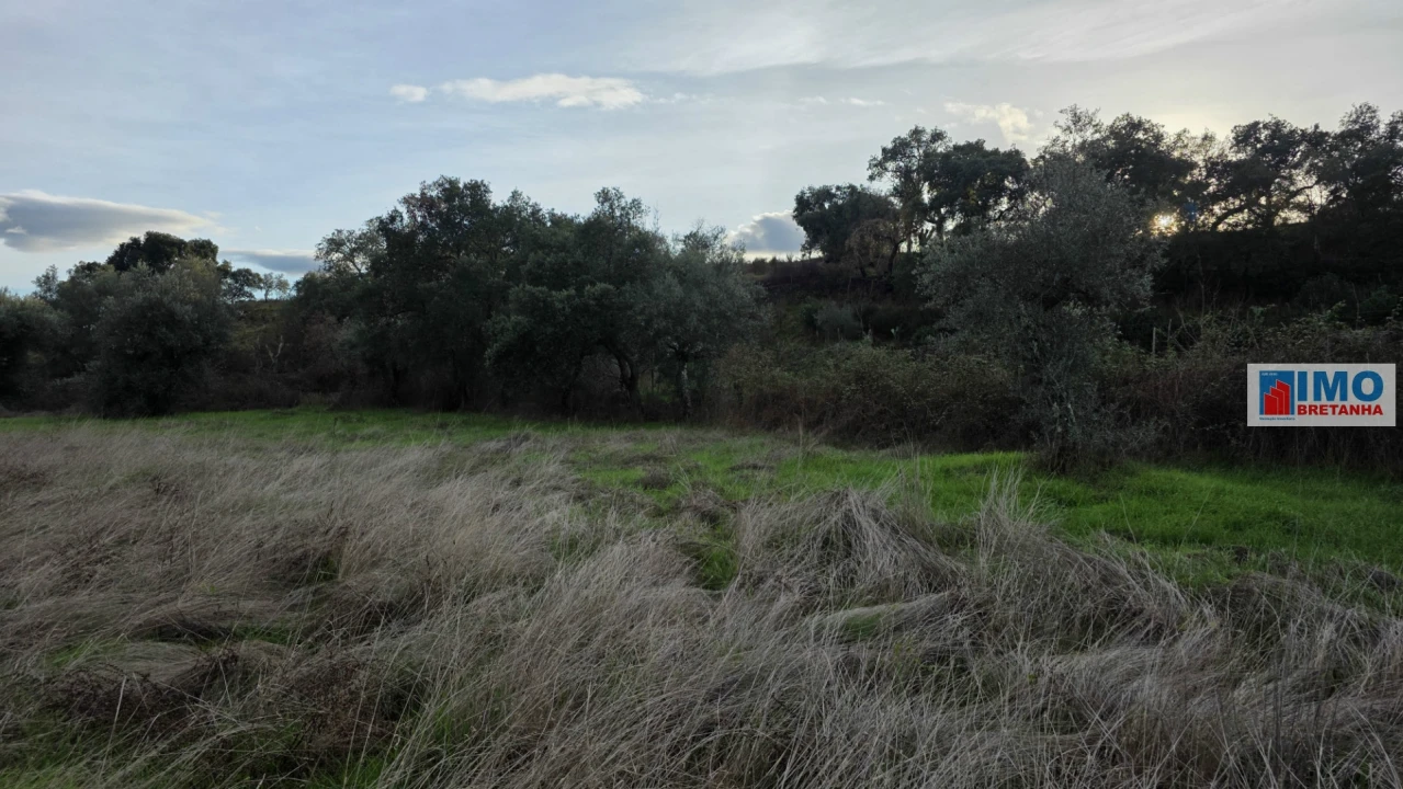 Terreno para Venda em Idanha-A-Nova e Alcafozes Foto 6