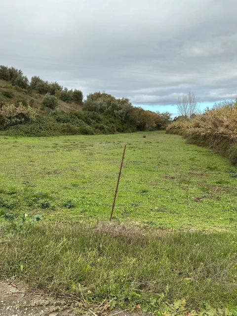 Terreno para Venda em Achete, Azoia de Baixo e Póvoa de Santarém