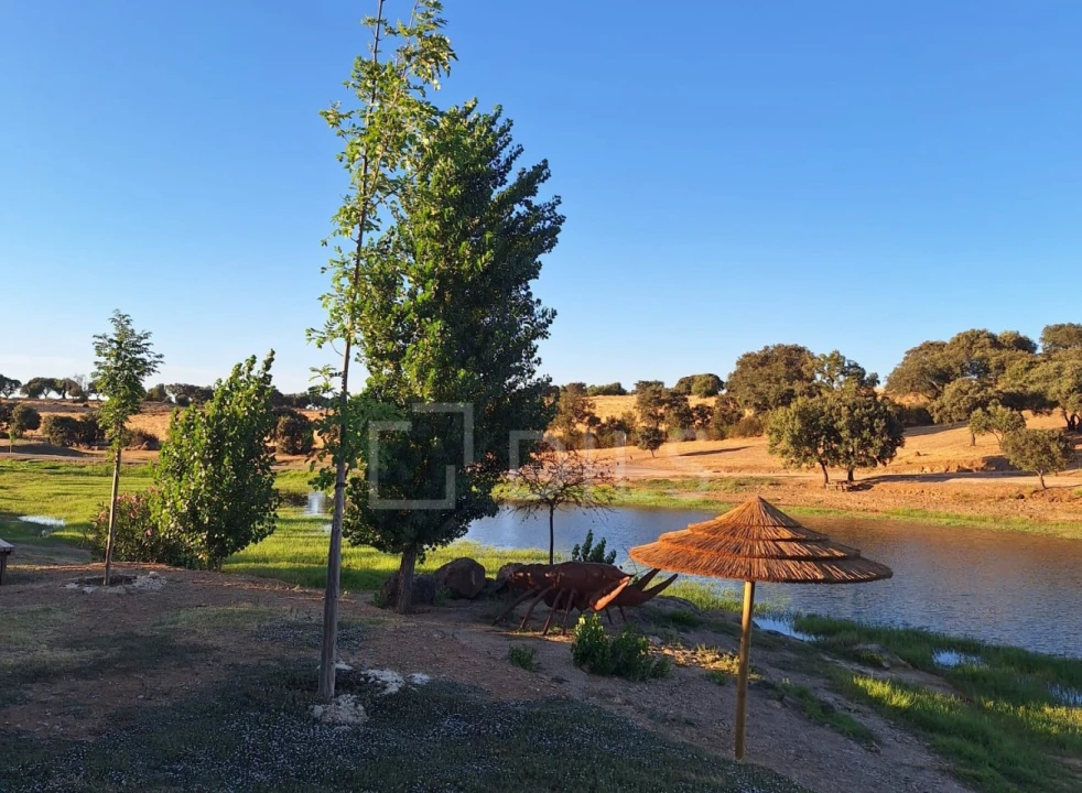 Moradia T2 para Venda em Terena (São Pedro) Foto 5