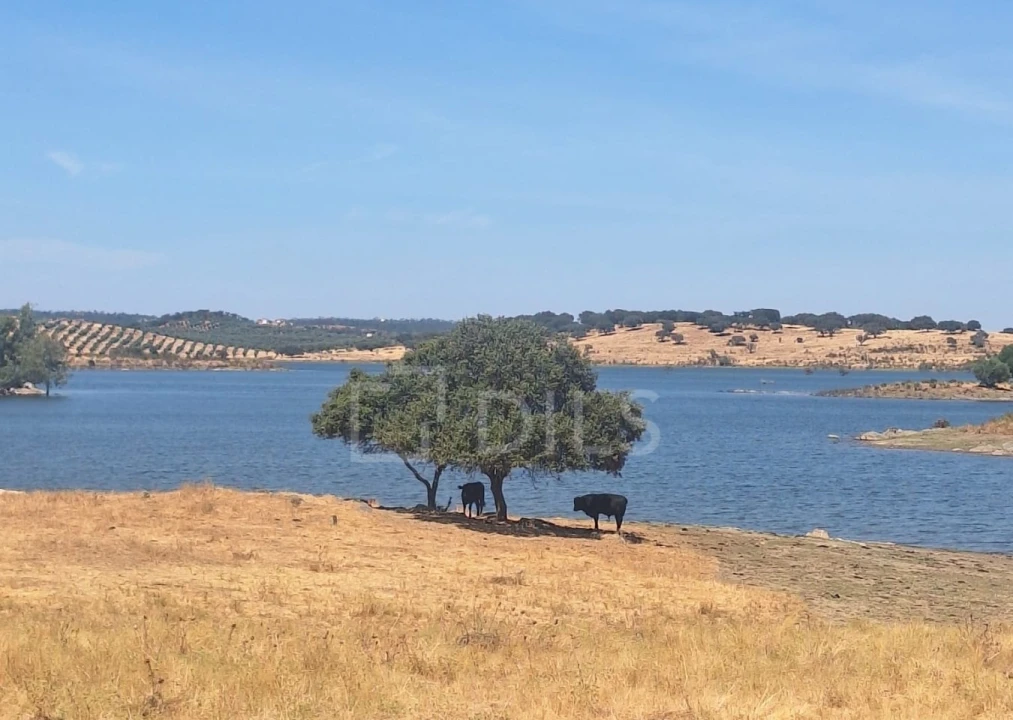 Moradia T2 para Venda em Terena (São Pedro) Foto 14