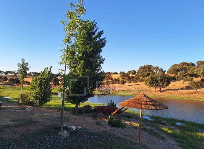 Moradia T2 para Venda em Terena (São Pedro) Foto 5