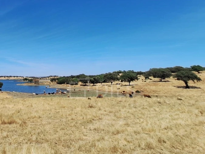 Moradia T2 para Venda em Terena (São Pedro) Foto 11