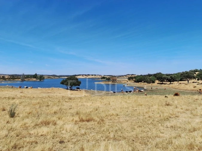 Moradia T2 para Venda em Terena (São Pedro) Foto 23