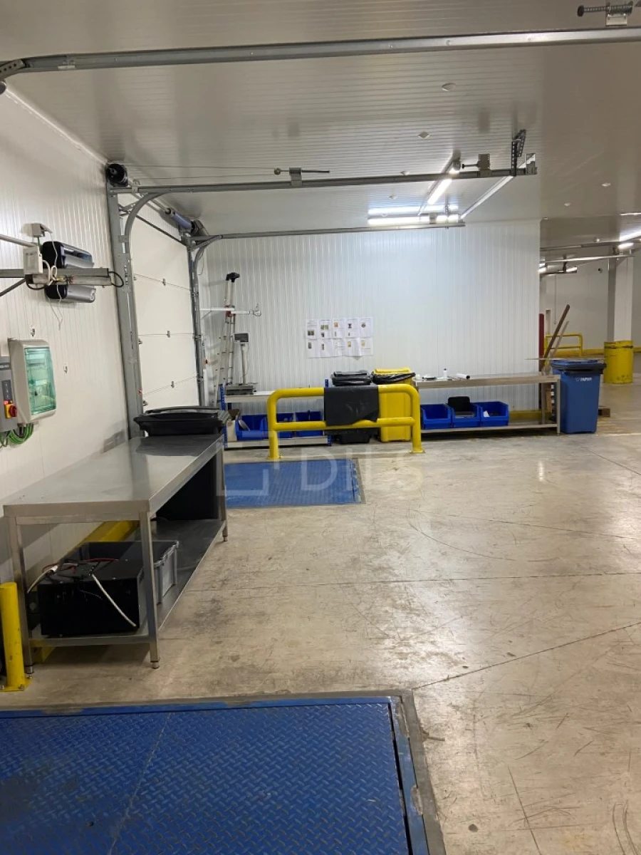 Armazém para Venda em Azambuja Foto 5