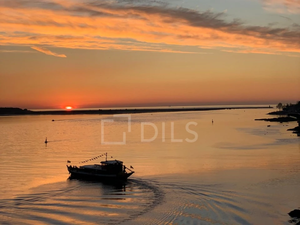Apartamento T3 para Venda em Lordelo do Ouro e Massarelos Foto 18