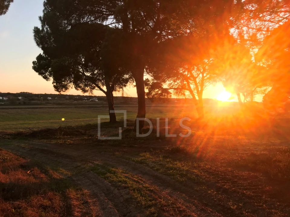 Terreno para Venda em Santa Maria do Castelo e Santiago e Santa Susana Foto 13