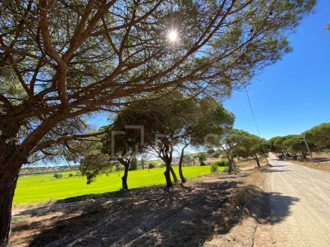 Terreno para Venda em Santa Maria do Castelo e Santiago e Santa Susana Foto 14