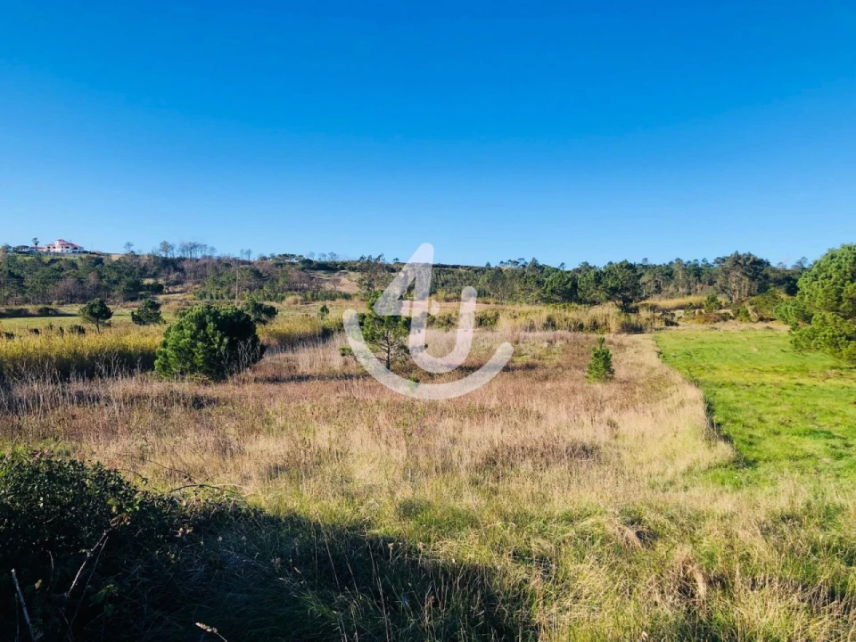 Terreno Agricola ou Rústico para Venda em Famalicão Foto 1