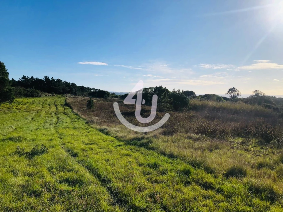 Terreno Agricola ou Rústico para Venda em Famalicão Foto 2