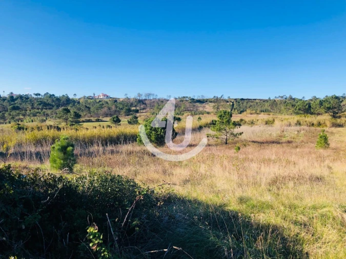 Terreno Agricola ou Rústico para Venda em Famalicão Foto 3