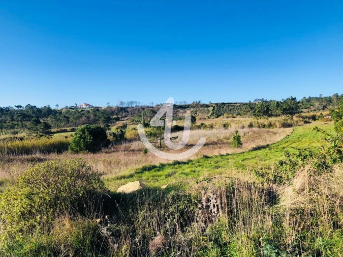 Terreno Agricola ou Rústico para Venda em Famalicão Foto 6
