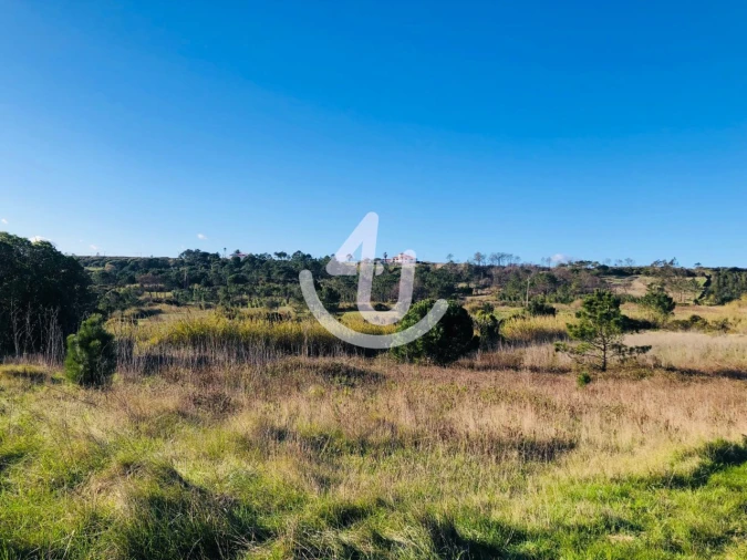 Terreno Agricola ou Rústico para Venda em Famalicão Foto 9