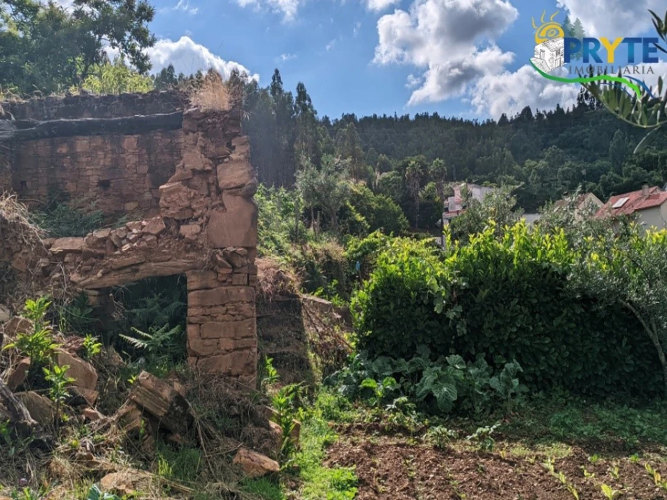 Moradia T4 para Venda em Troviscal Foto 63