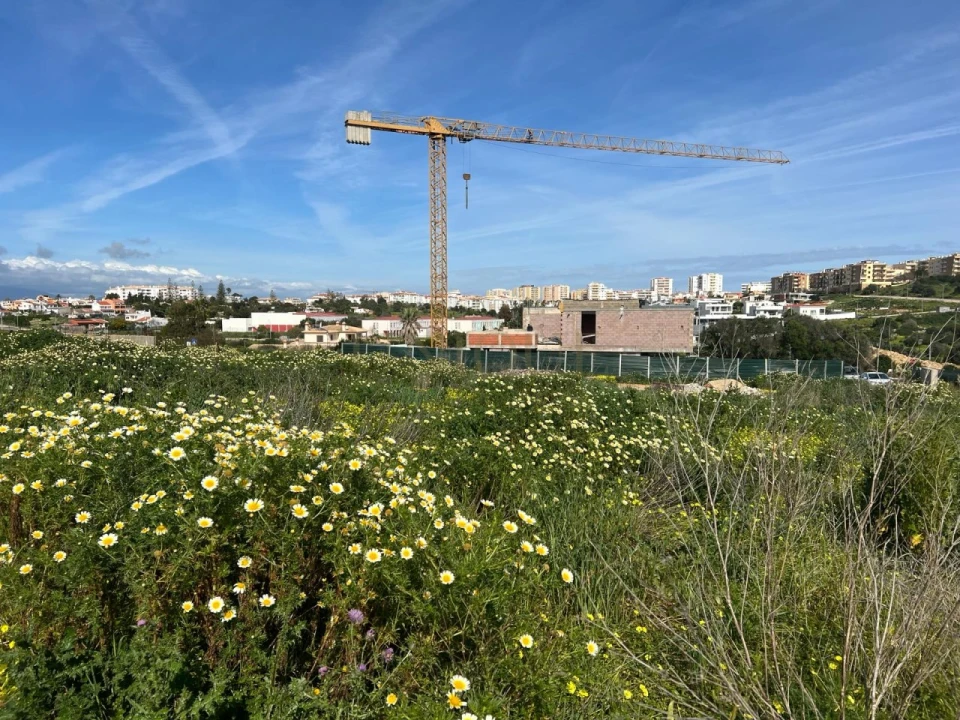 Terreno para Venda em Lagos (São Sebastião e Santa Maria) Foto 1