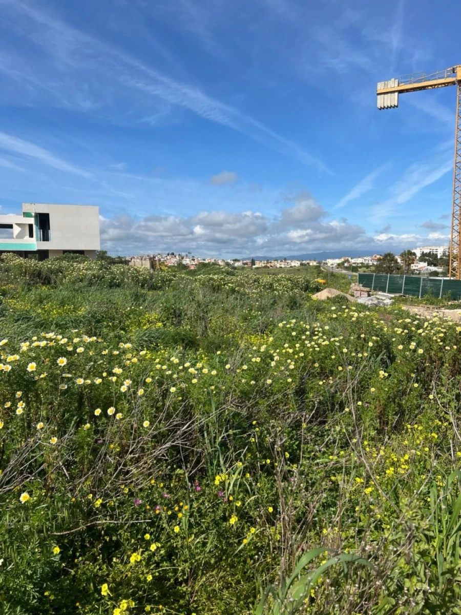 Terreno para Venda em Lagos (São Sebastião e Santa Maria) Foto 7
