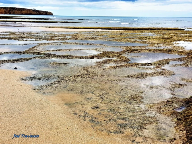 Terreno para Venda em Lagos (São Sebastião e Santa Maria) Foto 6