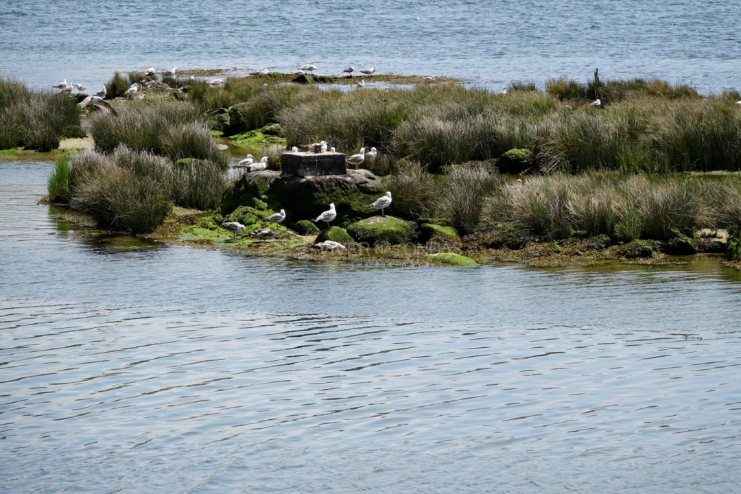 Apartamento T4 para Venda em Canidelo Foto 47