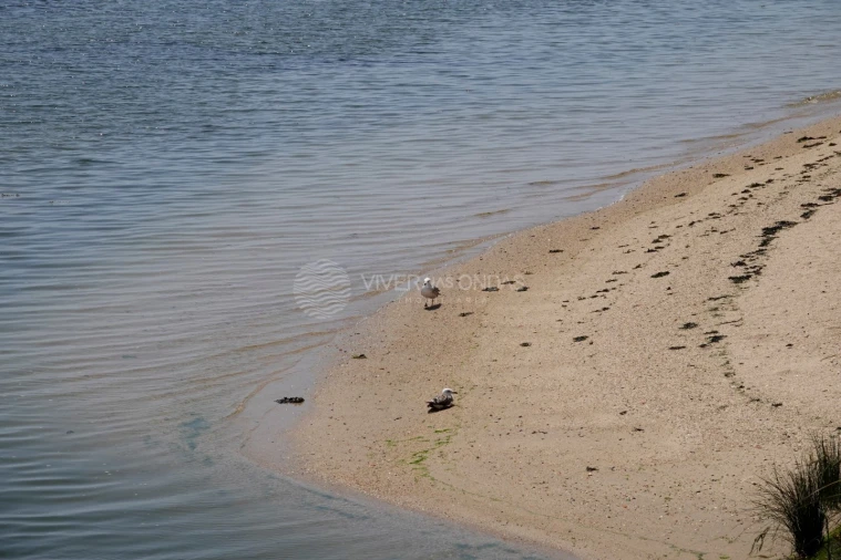 Apartamento T4 para Venda em Canidelo Foto 51