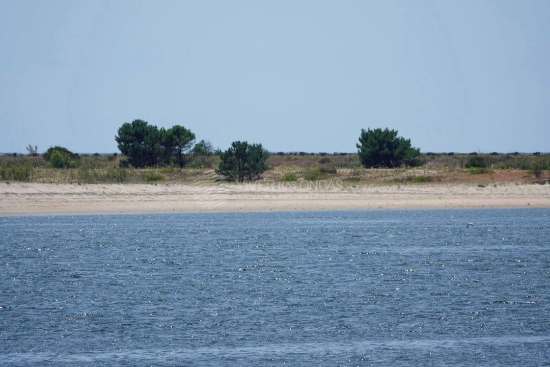 Apartamento T3 para Venda em Canidelo Foto 43