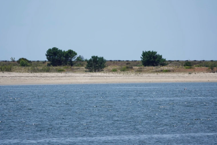 Apartamento T4 para Venda em Canidelo Foto 46