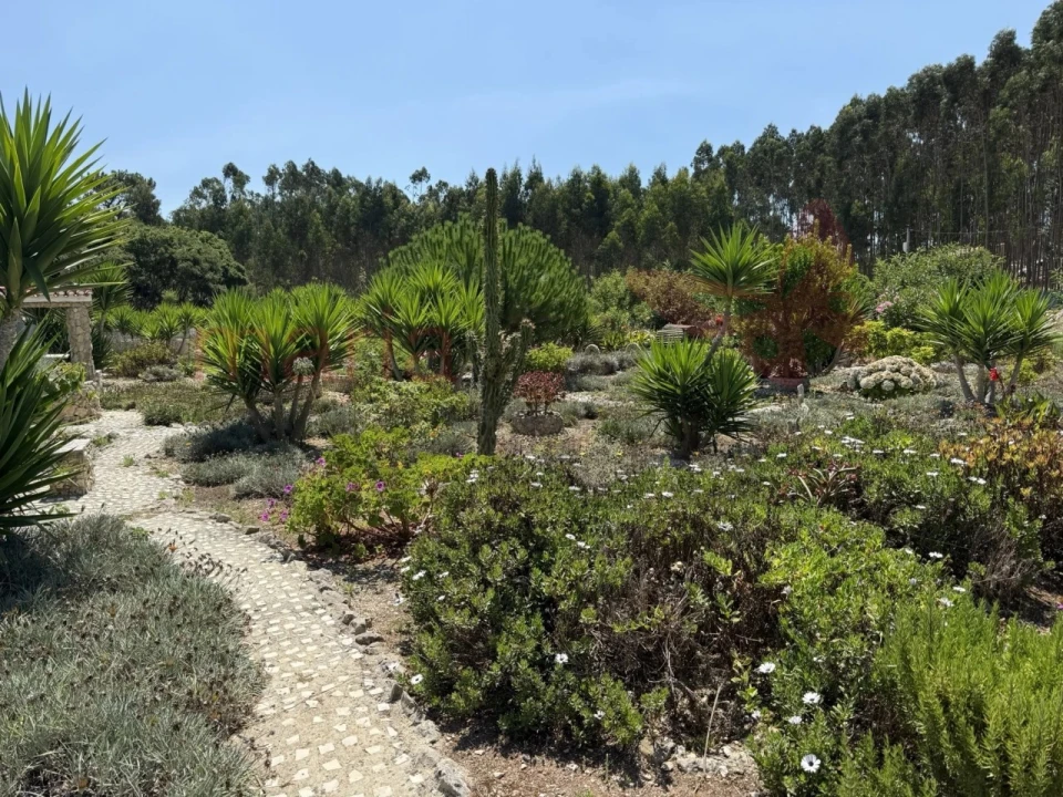 Apartamento T2 para Venda em Lourinhã e Atalaia Foto 16