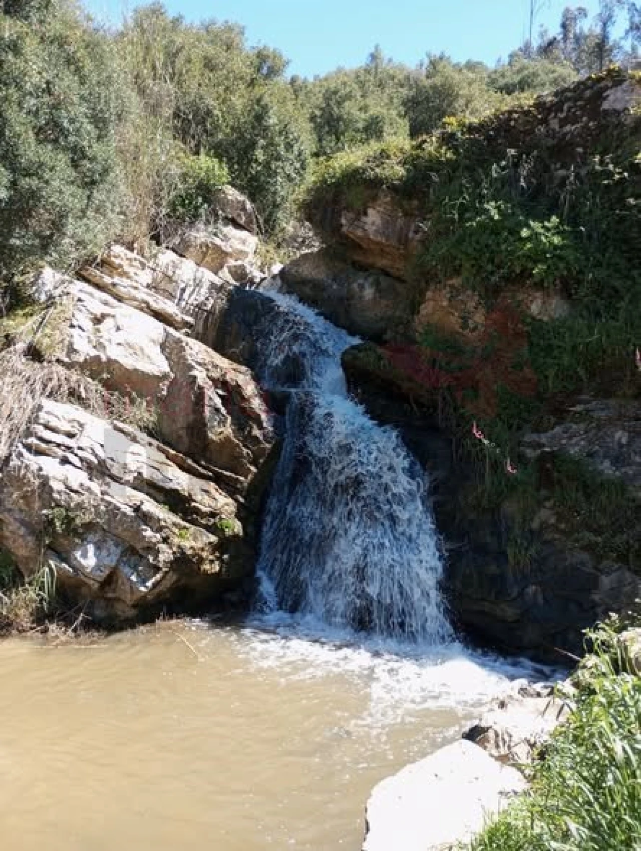 Apartamento T2 para Venda em Lourinhã e Atalaia Foto 17