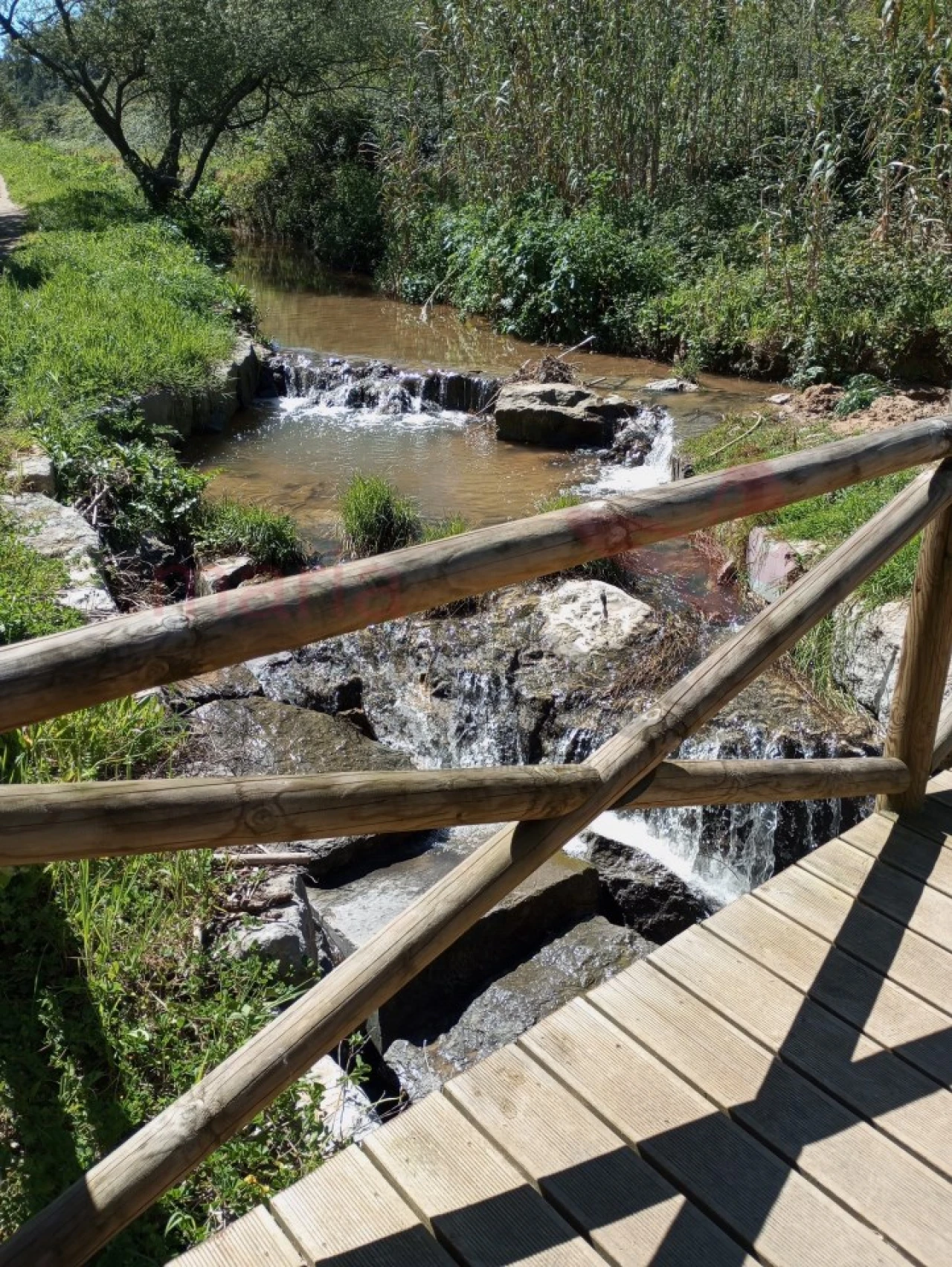 Apartamento T2 para Venda em Lourinhã e Atalaia Foto 18