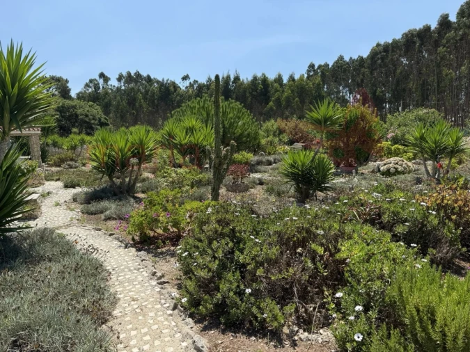 Apartamento T2 para Venda em Lourinhã e Atalaia Foto 16