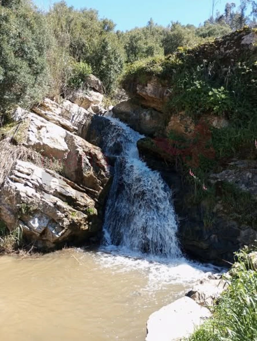 Apartamento T2 para Venda em Lourinhã e Atalaia Foto 17