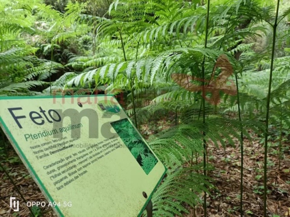 Moradia T2 para Venda em Lourinhã e Atalaia Foto 16