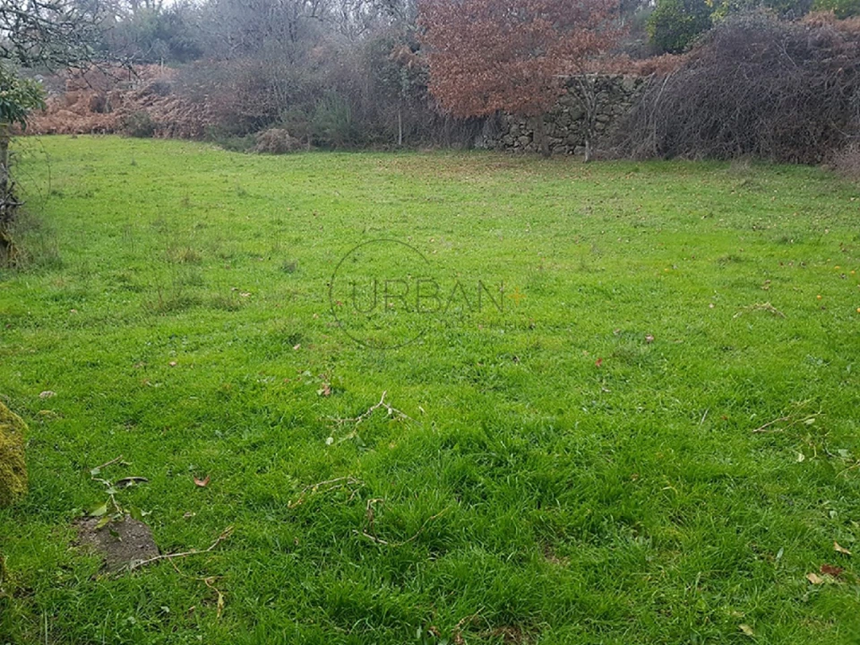Quinta para Venda em Couto de Baixo e Couto de Cima Foto 4