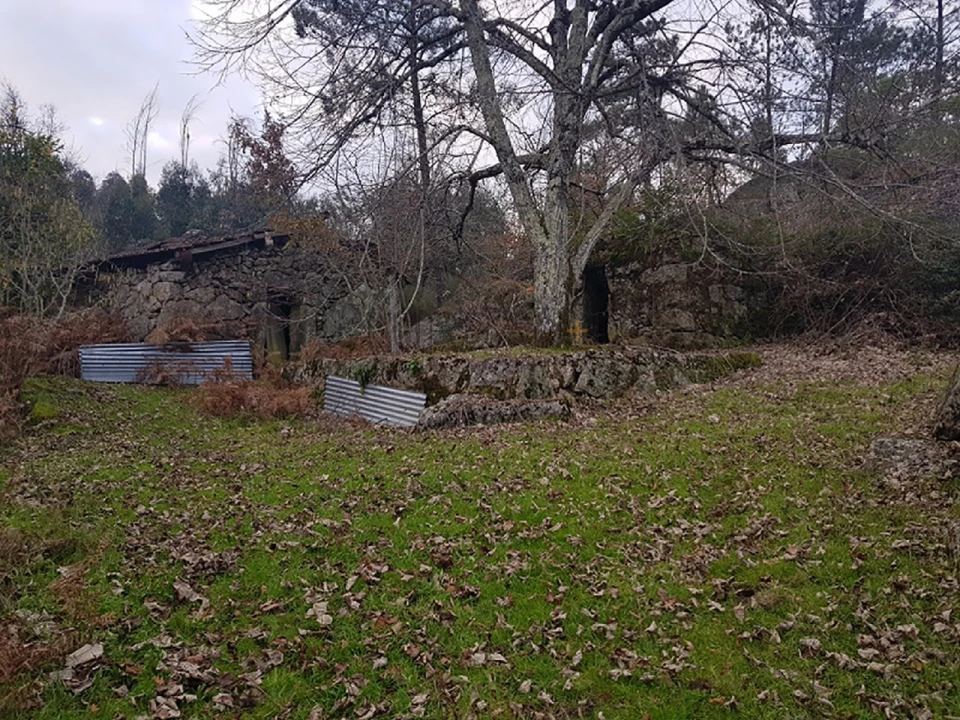 Quinta para Venda em Couto de Baixo e Couto de Cima Foto 5