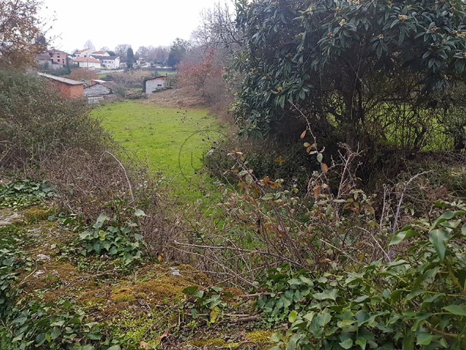 Quinta para Venda em Couto de Baixo e Couto de Cima Foto 9