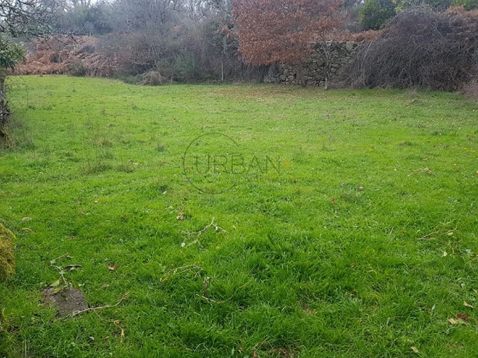 Quinta para Venda em Couto de Baixo e Couto de Cima Foto 4
