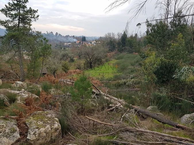 Quinta para Venda em Couto de Baixo e Couto de Cima Foto 6