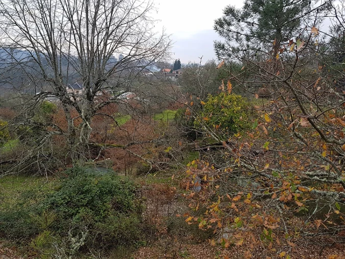 Quinta para Venda em Couto de Baixo e Couto de Cima Foto 10