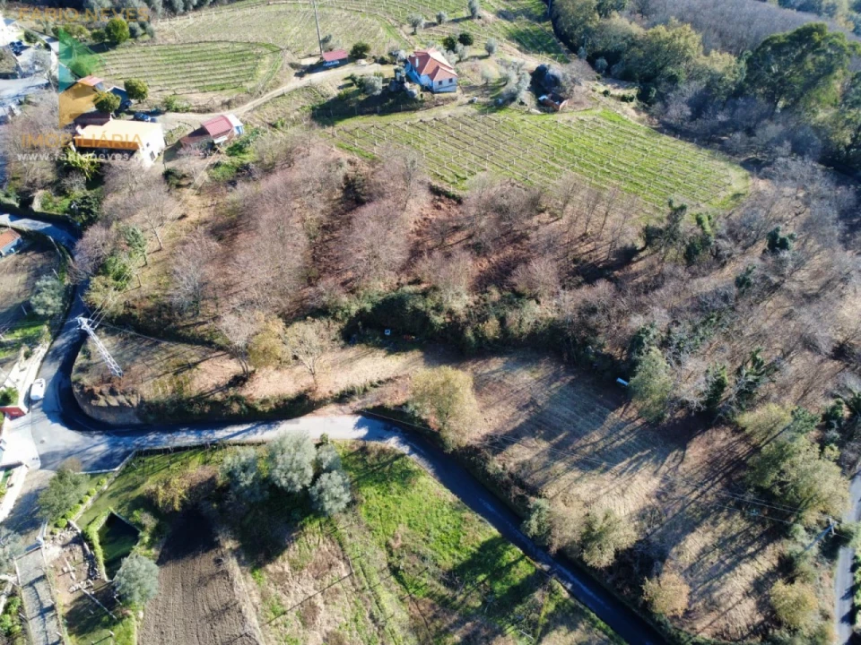 Terreno para Venda em Calheiros Foto 2