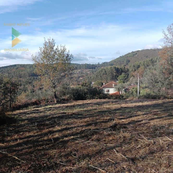 Terreno para Venda em Calheiros Foto 5