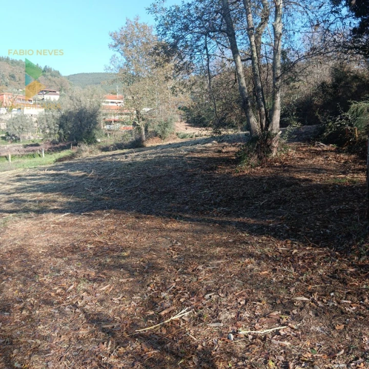 Terreno para Venda em Calheiros Foto 7