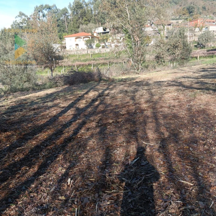 Terreno para Venda em Calheiros Foto 8