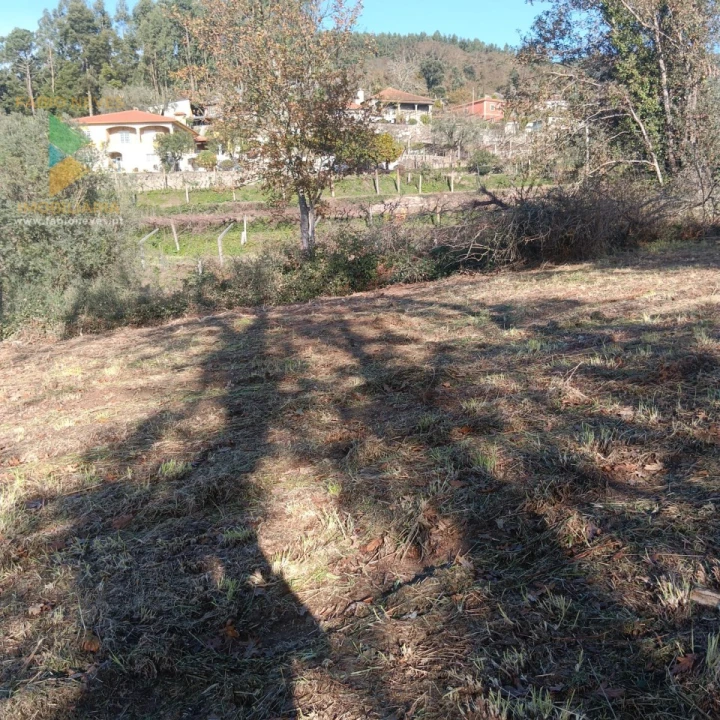 Terreno para Venda em Calheiros Foto 9
