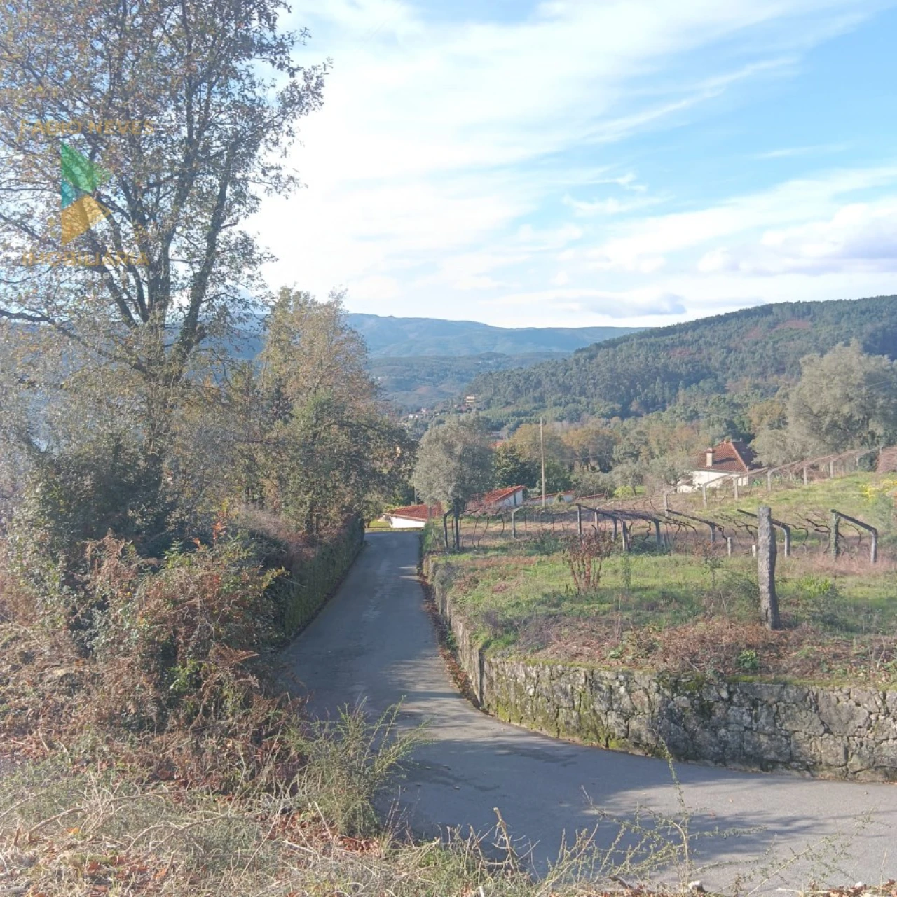 Terreno para Venda em Calheiros Foto 13