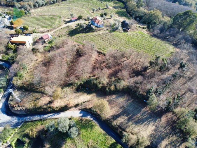 Terreno para Venda em Calheiros Foto 4