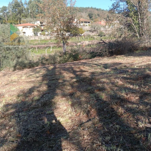 Terreno para Venda em Calheiros Foto 9