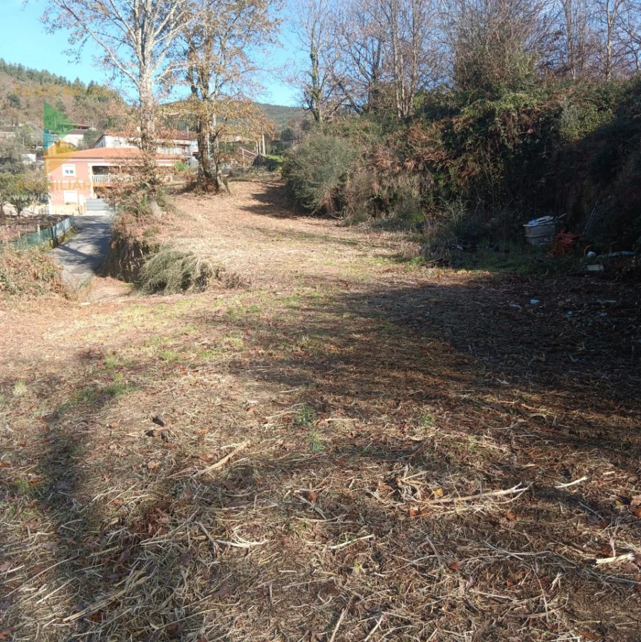 Terreno para Venda em Calheiros Foto 14