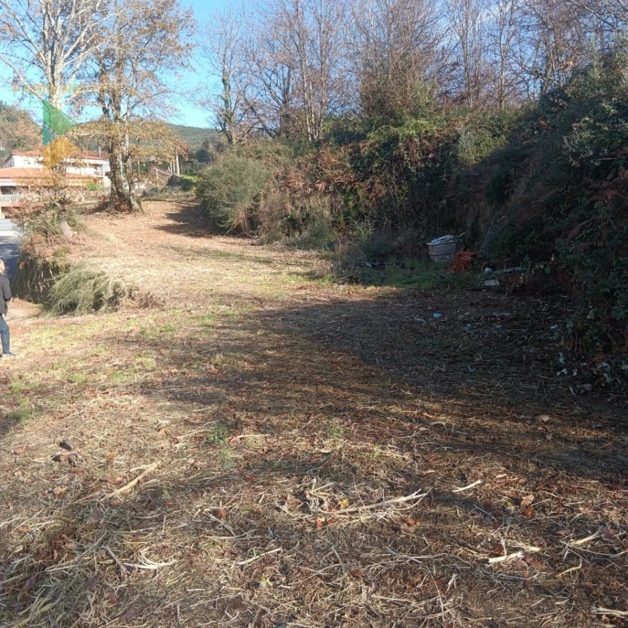 Terreno para Venda em Calheiros Foto 15