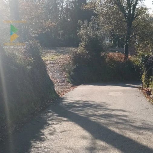 Terreno para Venda em Calheiros Foto 16