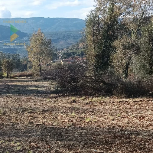 Terreno para Venda em Calheiros Foto 17