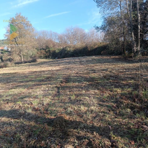 Terreno para Venda em Calheiros Foto 18